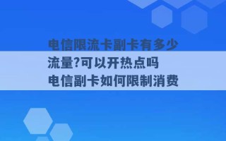 电信限流卡副卡有多少流量?可以开热点吗 电信副卡如何限制消费 