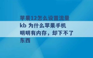 苹果12怎么设置流量kb 为什么苹果手机明明有内存，却下不了东西 