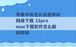 苹果手机怎么设置移动网络下载 12promax下载软件怎么解除限制 