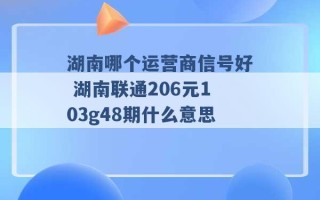 湖南哪个运营商信号好 湖南联通206元103g48期什么意思 