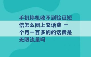 手机停机收不到验证短信怎么网上交话费 一个月一百多的的话费是无限流量吗 