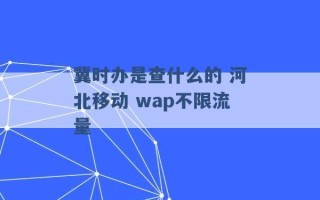 冀时办是查什么的 河北移动 wap不限流量 