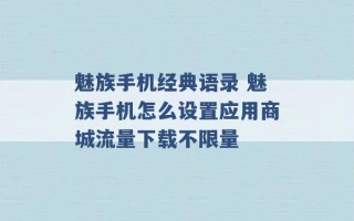 魅族手机经典语录 魅族手机怎么设置应用商城流量下载不限量 