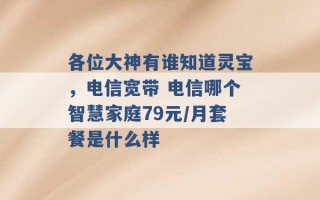 各位大神有谁知道灵宝，电信宽带 电信哪个智慧家庭79元/月套餐是什么样 