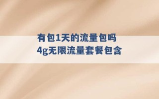 有包1天的流量包吗 4g无限流量套餐包含 