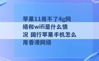 苹果11用不了4g网络和wifi是什么情况 国行苹果手机怎么用香港网络 