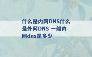 什么是内网DNS什么是外网DNS 一般内网dns是多少 