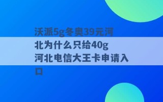 沃派5g冬奥39元河北为什么只给40g 河北电信大王卡申请入口 