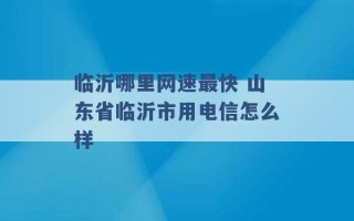 临沂哪里网速最快 山东省临沂市用电信怎么样 