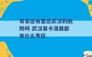 石家庄有直达武汉的航班吗 武汉萌卡漫展都有什么专区 