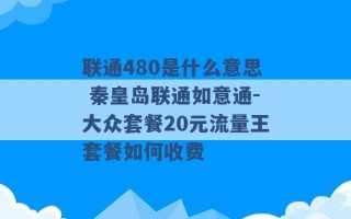 联通480是什么意思 秦皇岛联通如意通-大众套餐20元流量王套餐如何收费 