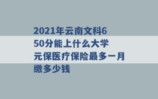 2021年云南文科650分能上什么大学 元保医疗保险最多一月缴多少钱 