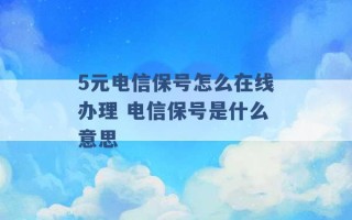 5元电信保号怎么在线办理 电信保号是什么意思 