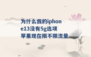 为什么我的iphone13没有5g选项 苹果现在限不限流量 