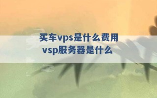 买车vps是什么费用 vsp服务器是什么 