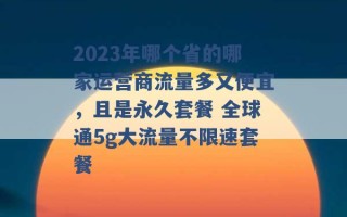 2023年哪个省的哪家运营商流量多又便宜，且是永久套餐 全球通5g大流量不限速套餐 