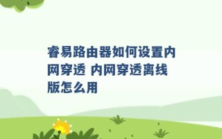 睿易路由器如何设置内网穿透 内网穿透离线版怎么用 