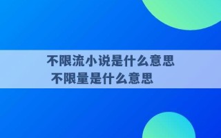 不限流小说是什么意思 不限量是什么意思 