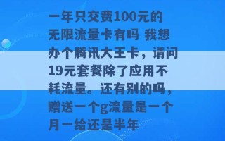 一年只交费100元的无限流量卡有吗 我想办个腾讯大王卡，请问19元套餐除了应用不耗流量。还有别的吗，赠送一个g流量是一个月一给还是半年 