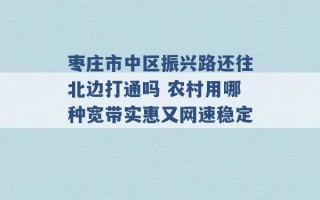 枣庄市中区振兴路还往北边打通吗 农村用哪种宽带实惠又网速稳定 