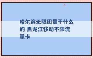 哈尔滨无限团是干什么的 黑龙江移动不限流量卡 