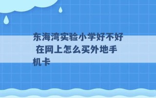 东海湾实验小学好不好 在网上怎么买外地手机卡 