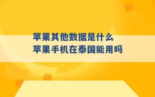 苹果其他数据是什么 苹果手机在泰国能用吗 