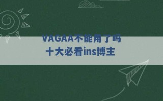 VAGAA不能用了吗 十大必看ins博主 