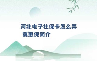 河北电子社保卡怎么弄 冀惠保简介 