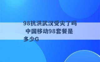 98抗洪武汉受灾了吗 中国移动98套餐是多少G 