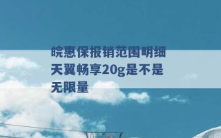 皖惠保报销范围明细 天翼畅享20g是不是无限量 