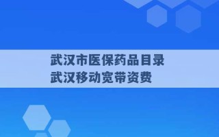 武汉市医保药品目录 武汉移动宽带资费 