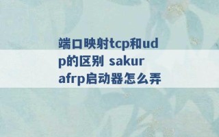 端口映射tcp和udp的区别 sakurafrp启动器怎么弄 