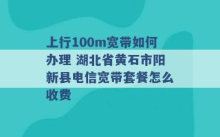 上行100m宽带如何办理 湖北省黄石市阳新县电信宽带套餐怎么收费 