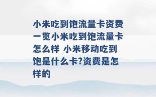 小米吃到饱流量卡资费一览小米吃到饱流量卡怎么样 小米移动吃到饱是什么卡?资费是怎样的 