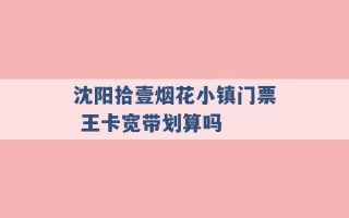 沈阳拾壹烟花小镇门票 王卡宽带划算吗 