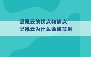 坚果云的优点和缺点 坚果云为什么会被禁用 