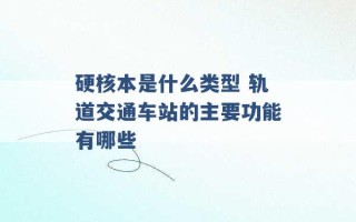 硬核本是什么类型 轨道交通车站的主要功能有哪些 