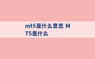 mt5是什么意思 MT5是什么 