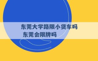 东莞大学路限小货车吗 东莞会限牌吗 