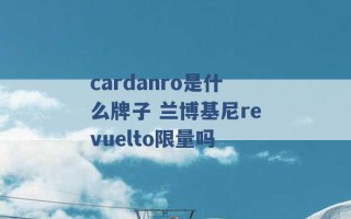 cardanro是什么牌子 兰博基尼revuelto限量吗 