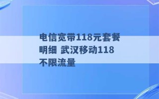 电信宽带118元套餐明细 武汉移动118不限流量 