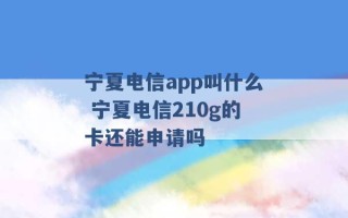 宁夏电信app叫什么 宁夏电信210g的卡还能申请吗 