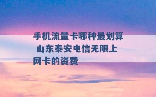 手机流量卡哪种最划算 山东泰安电信无限上网卡的资费 