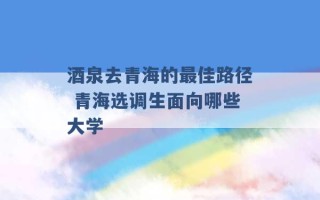 酒泉去青海的最佳路径 青海选调生面向哪些大学 