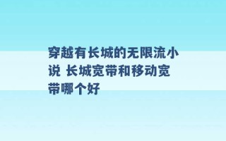 穿越有长城的无限流小说 长城宽带和移动宽带哪个好 