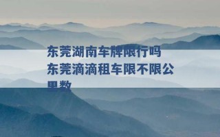 东莞湖南车牌限行吗 东莞滴滴租车限不限公里数 