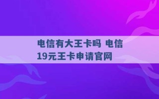 电信有大王卡吗 电信19元王卡申请官网 