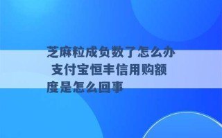 芝麻粒成负数了怎么办 支付宝恒丰信用购额度是怎么回事 