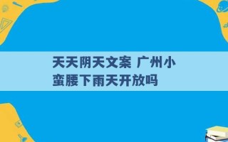 天天阴天文案 广州小蛮腰下雨天开放吗 